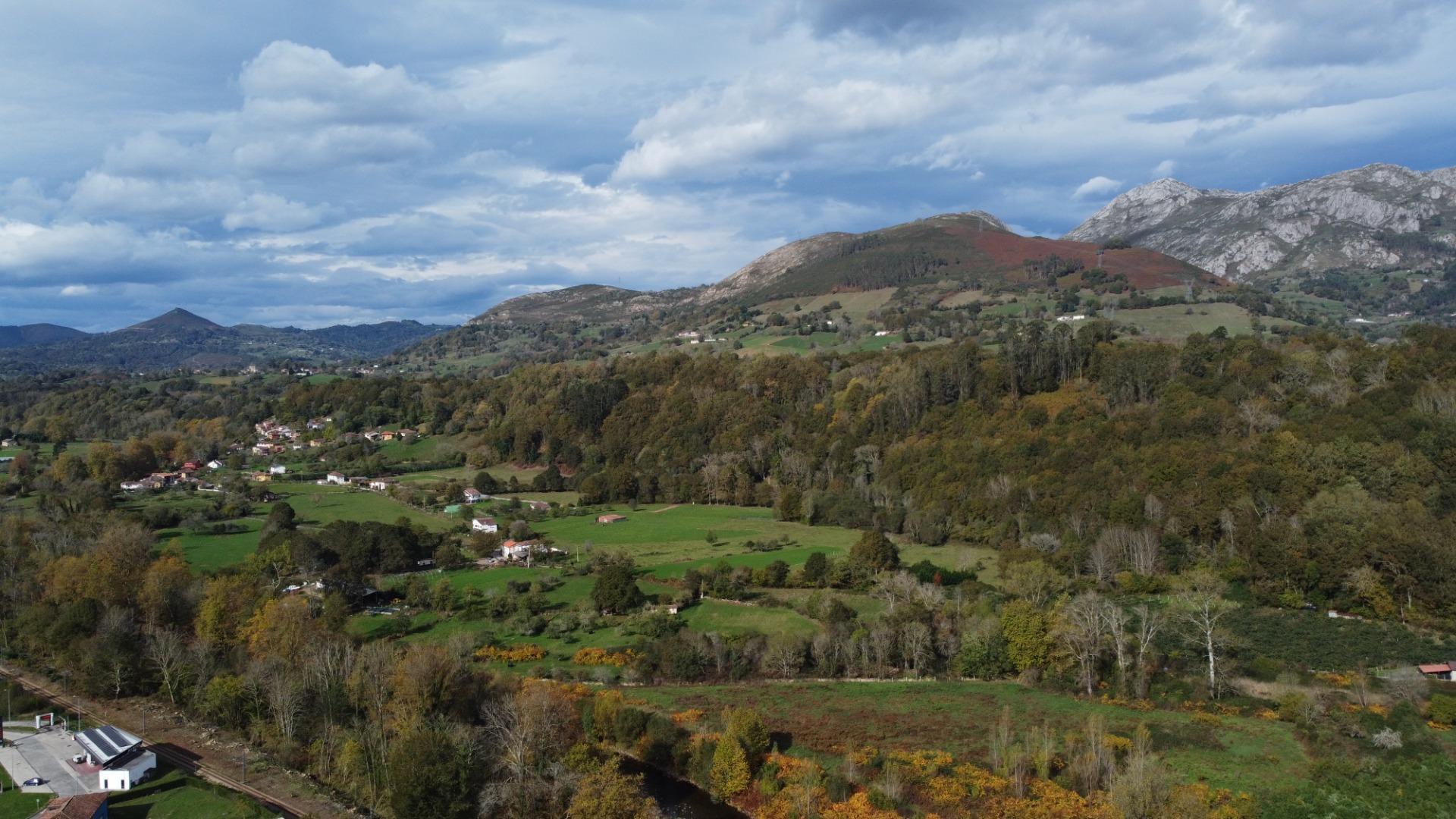 Casas o chalets-Venta-PiloÃ±a-1993951-Foto-5