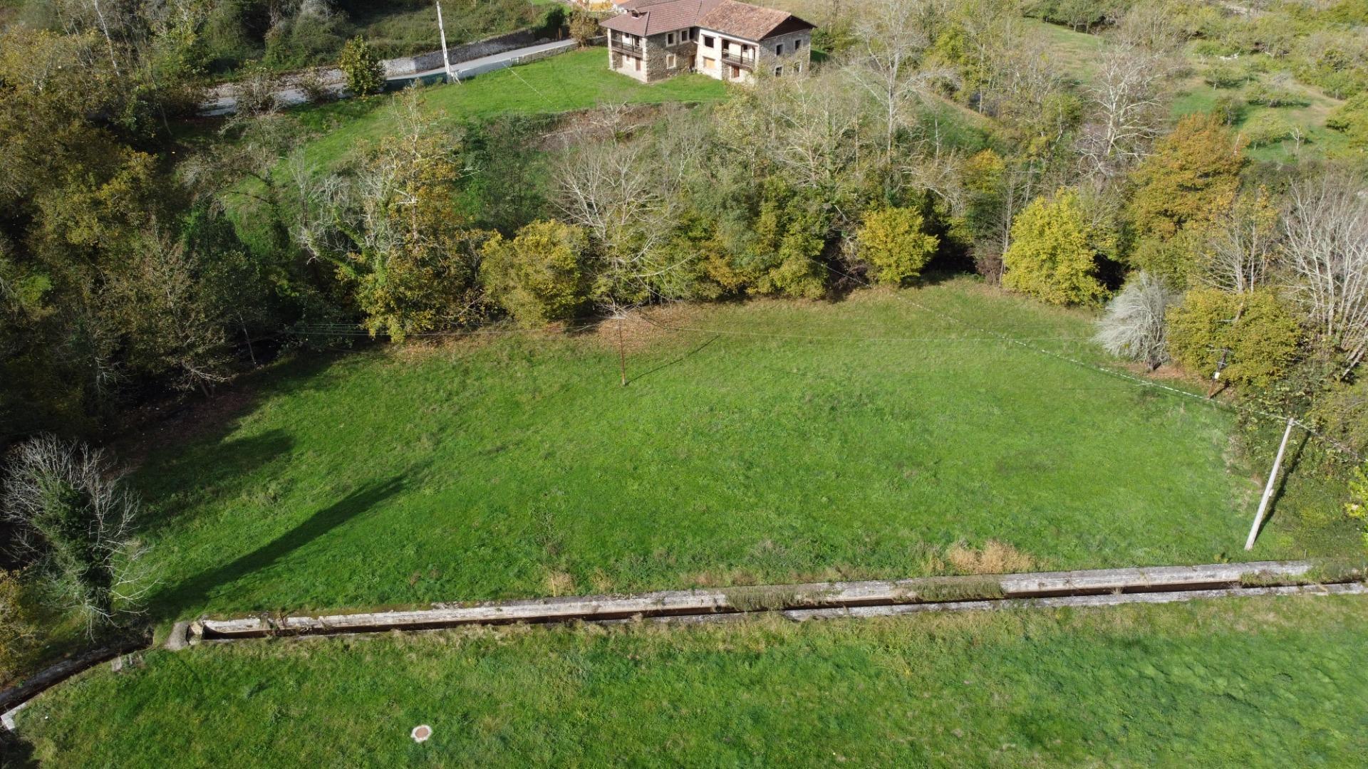 Casas o chalets-Venta-PiloÃ±a-1993951-Foto-13