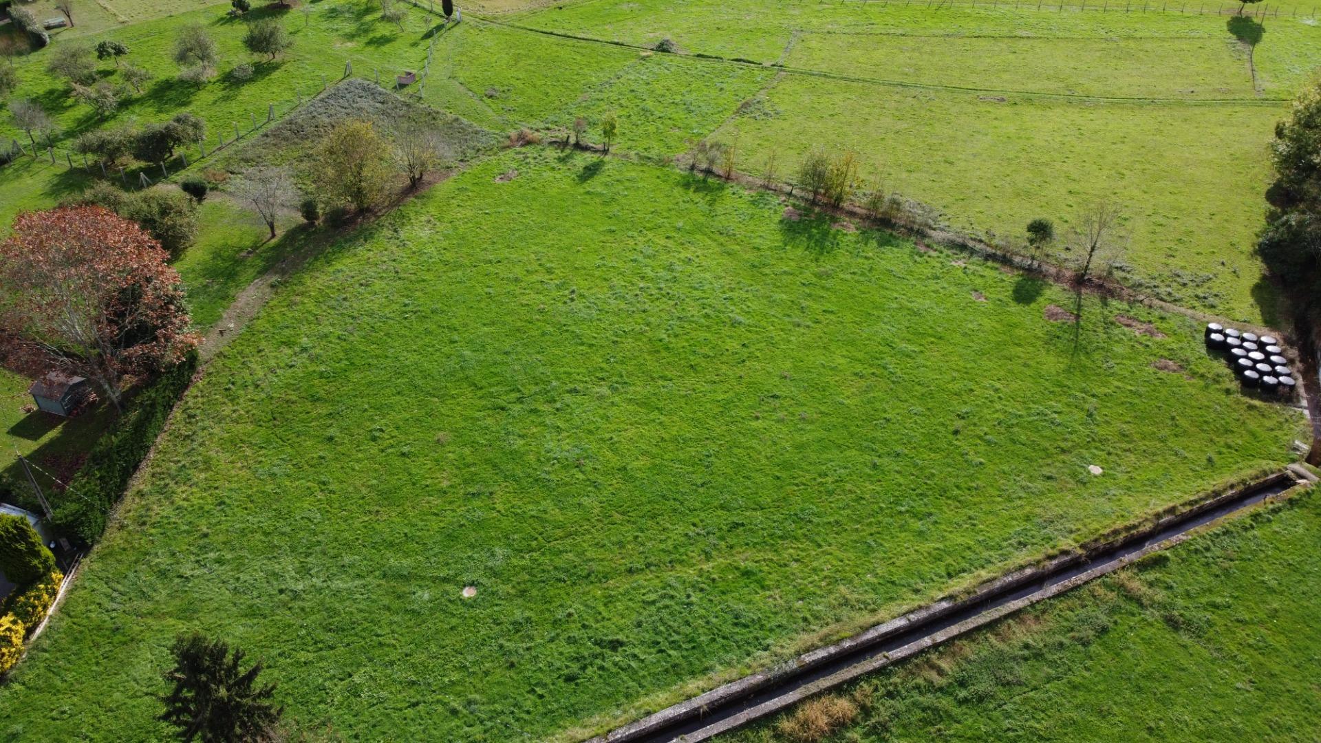 Casas o chalets-Venta-PiloÃ±a-1993951-Foto-16