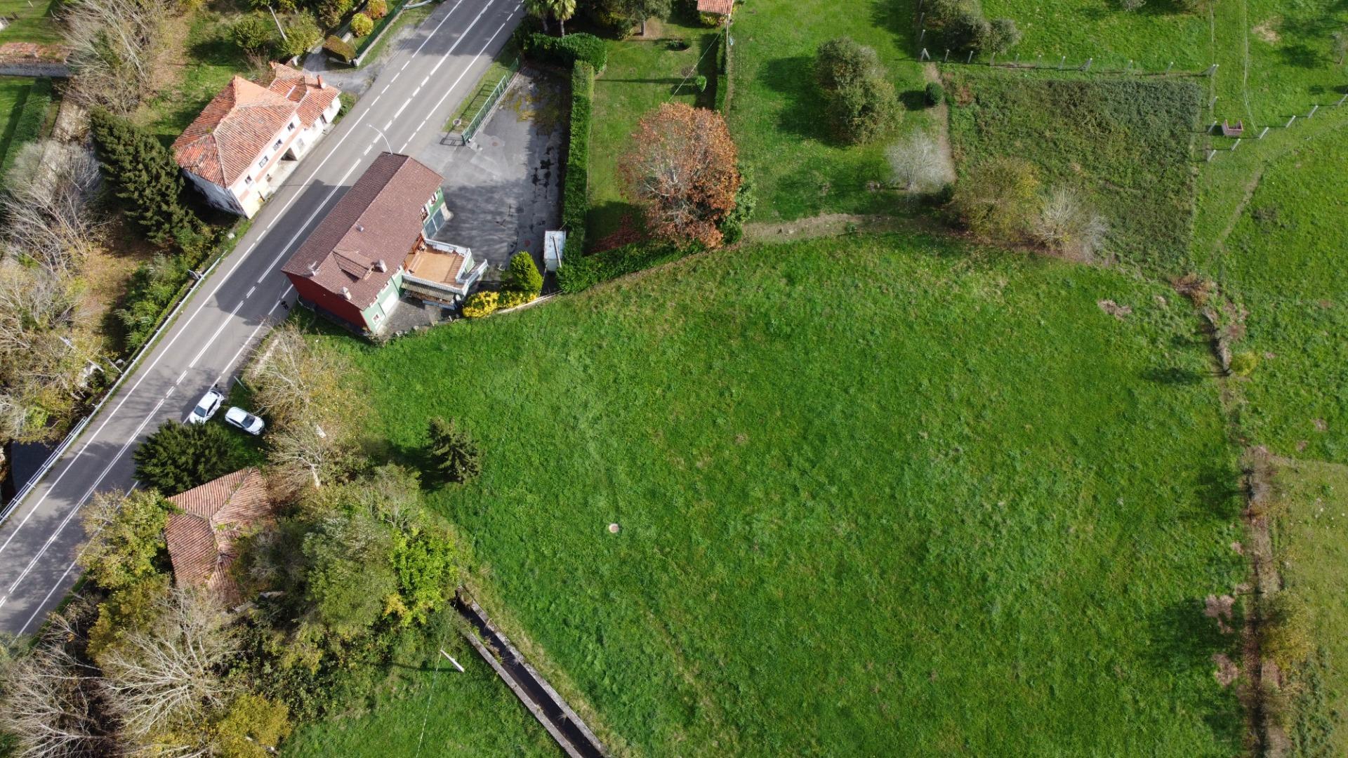 Casas o chalets-Venta-PiloÃ±a-1993951-Foto-20