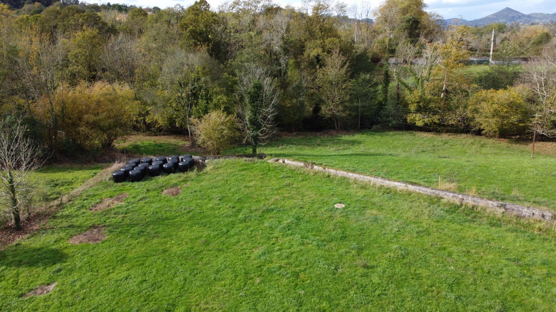 Casas o chalets-Venta-PiloÃ±a-1993951-Foto-27