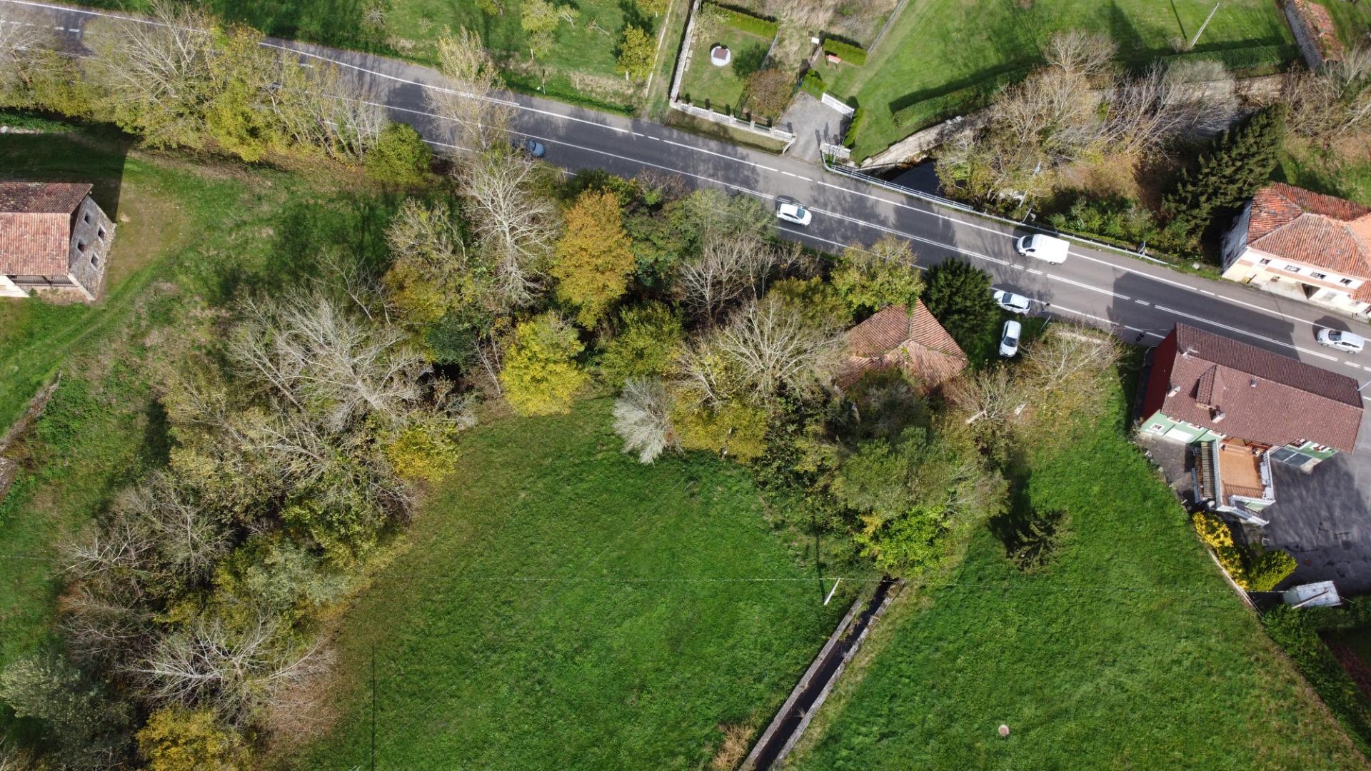 Casas o chalets-Venta-PiloÃ±a-1993951-Foto-25