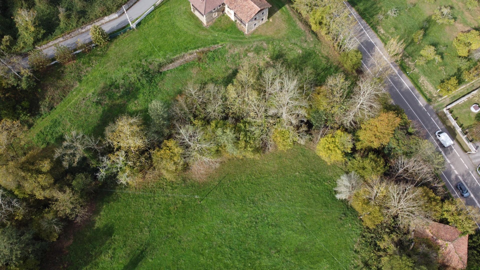 Casas o chalets-Venta-PiloÃ±a-1993951-Foto-26