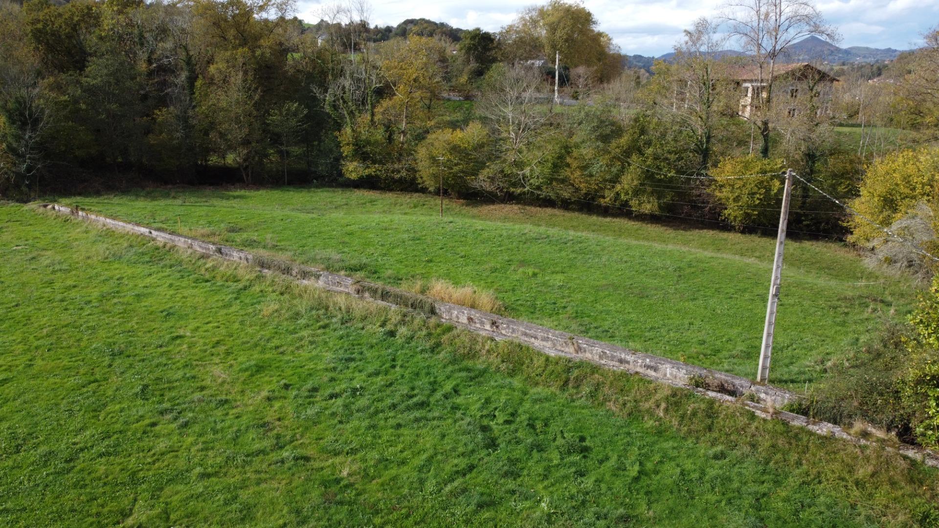 Casas o chalets-Venta-PiloÃ±a-1993951-Foto-31