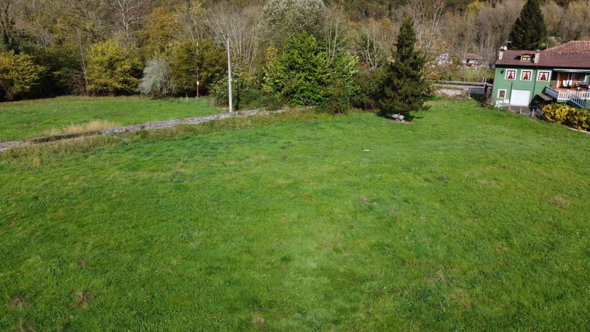 Casas o chalets-Venta-PiloÃ±a-1993951-Foto-30