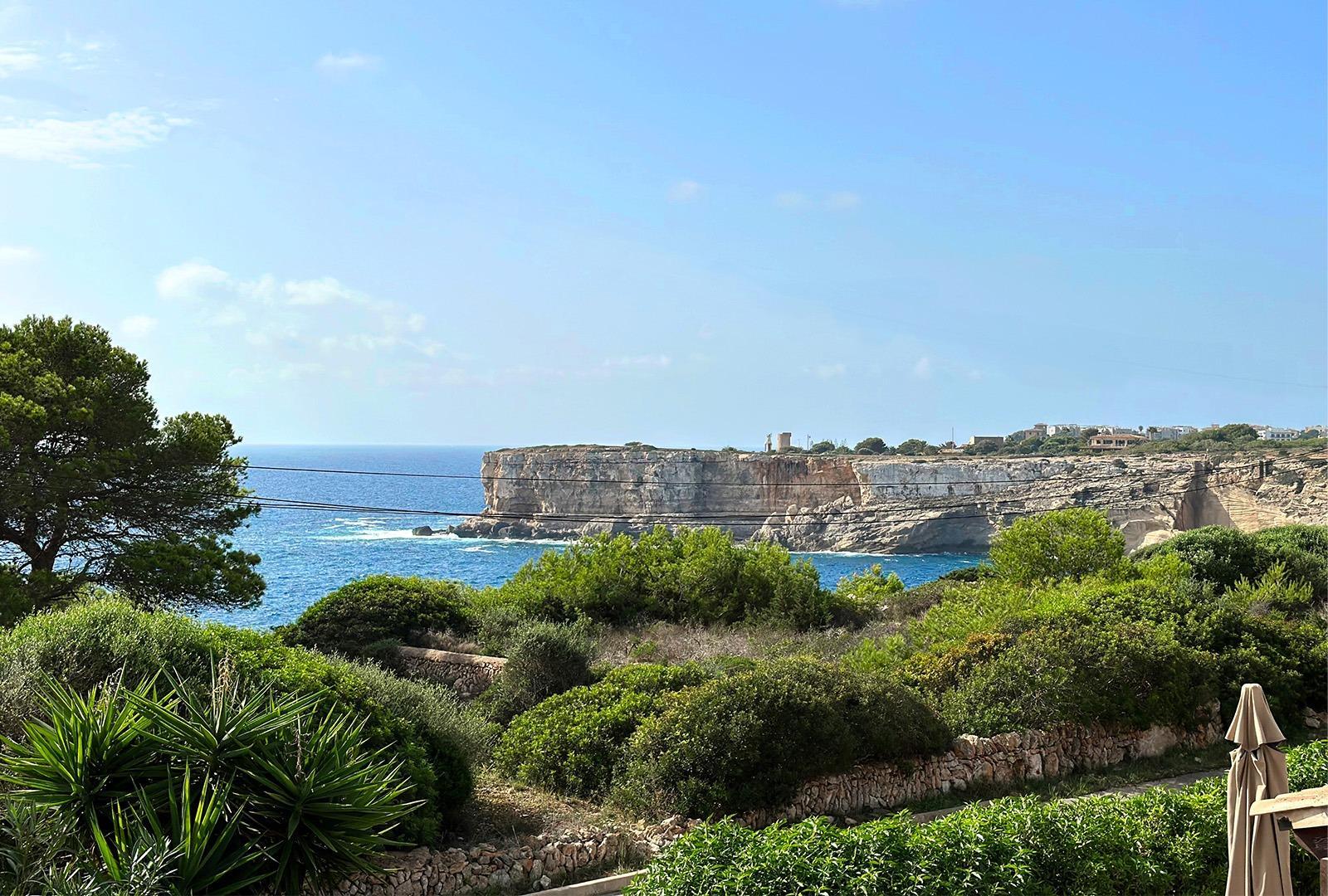 Casas o chalets-Venta-SantanyÃ­-1763873-Foto-7