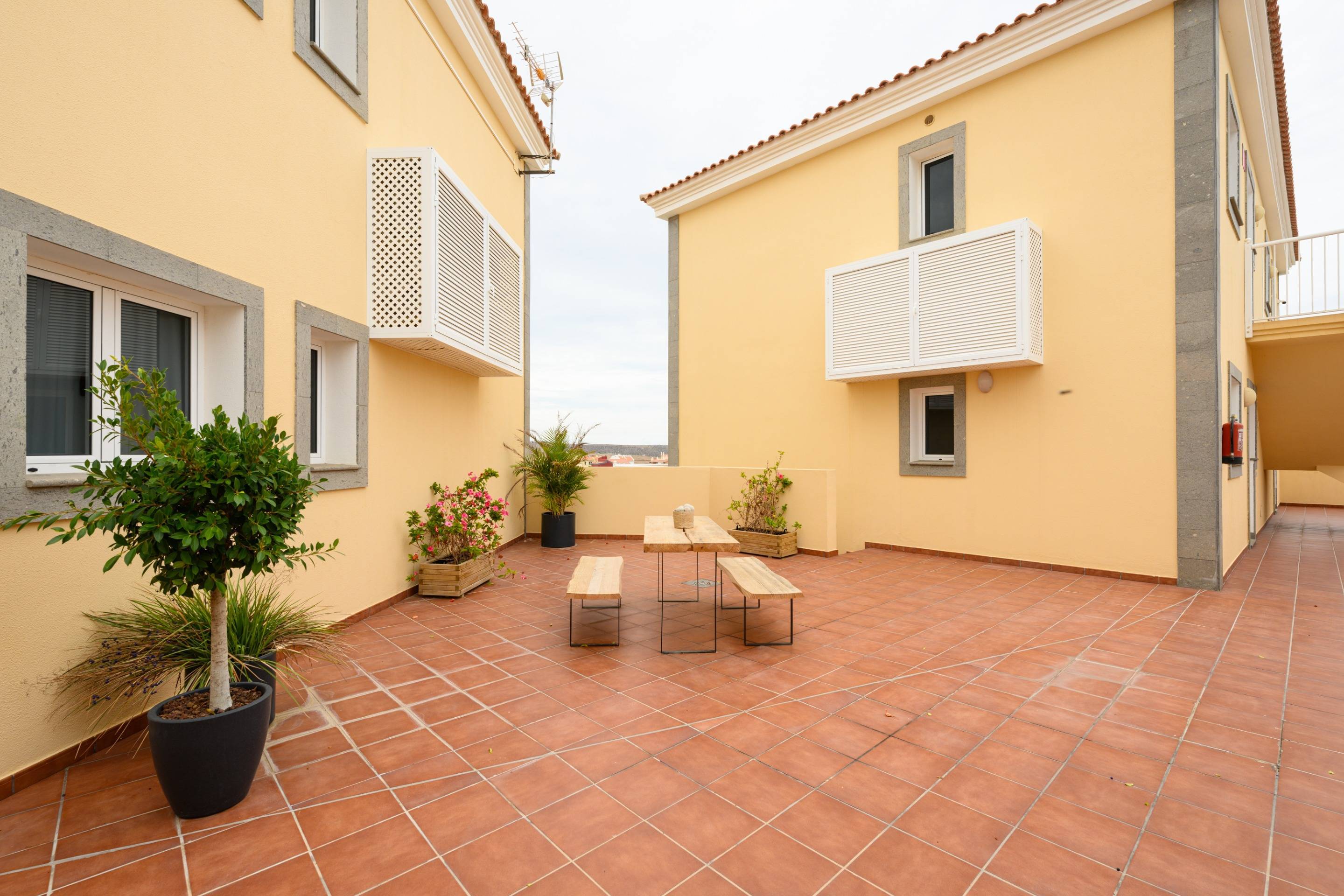 Pisos-Venta-MogÃ¡n-1993969-Foto-22