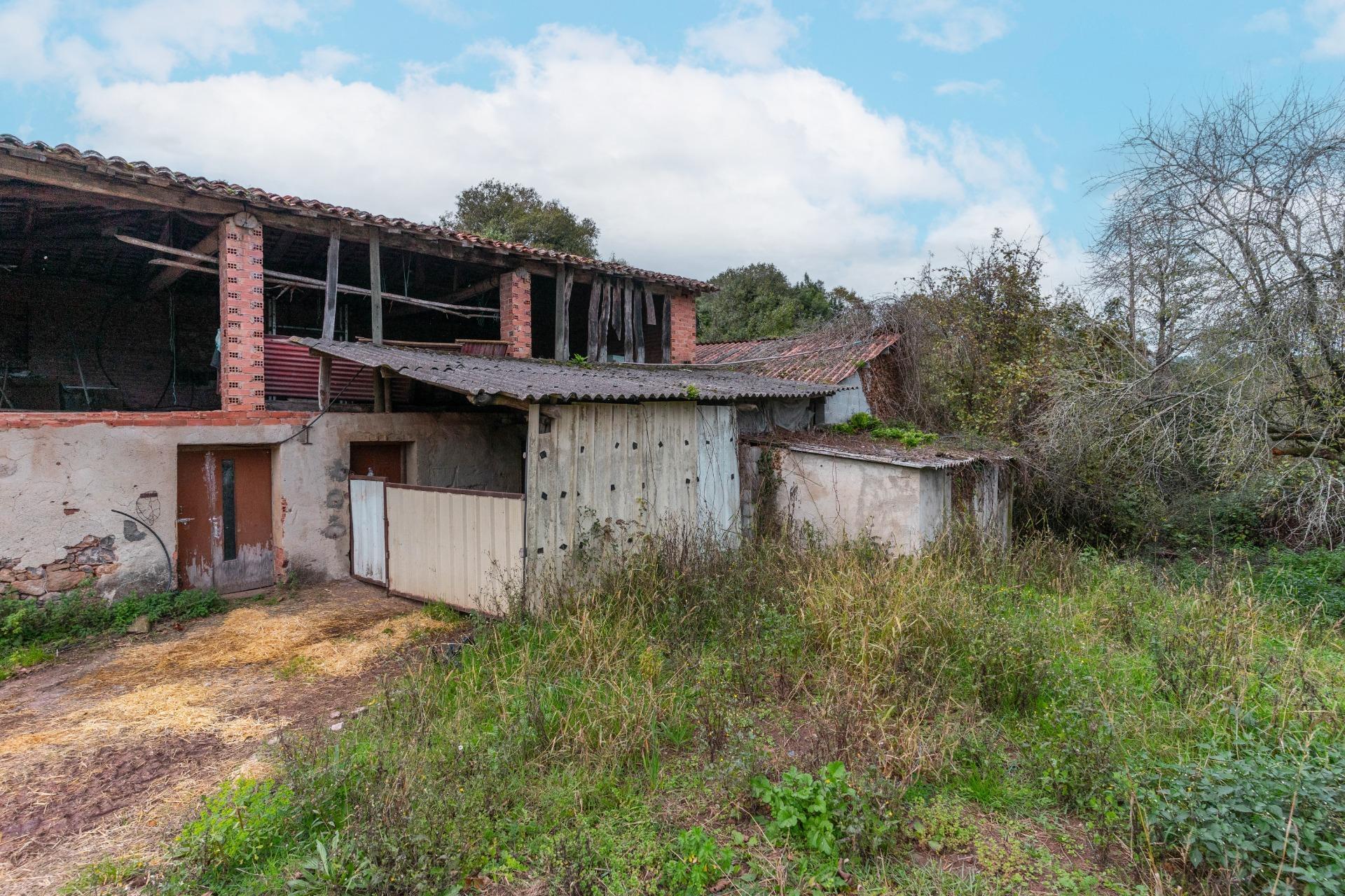 Casas o chalets-Venta-Pernus-1993978-Foto-4