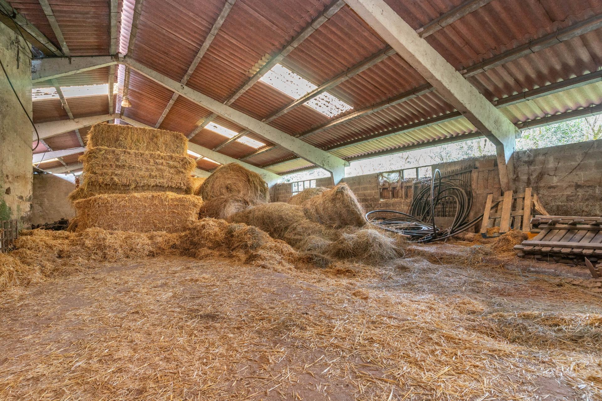 Casas o chalets-Venta-Pernus-1993978-Foto-22