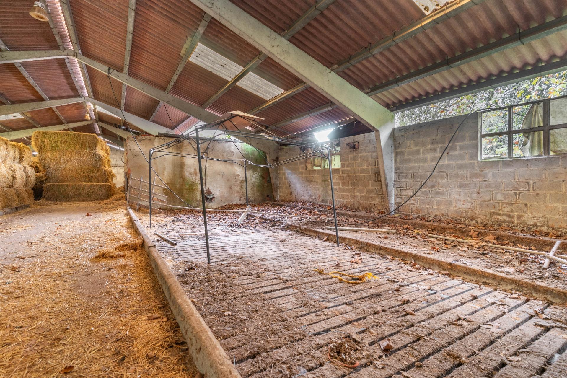 Casas o chalets-Venta-Pernus-1993978-Foto-24