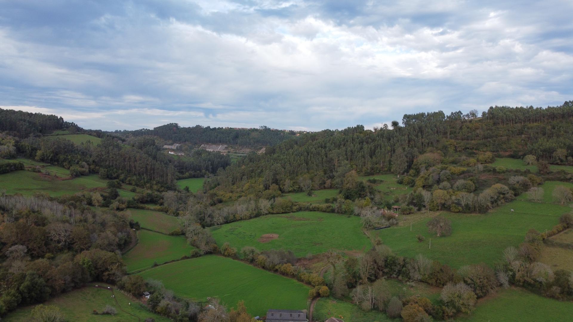 Casas o chalets-Venta-Pernus-1993978-Foto-32