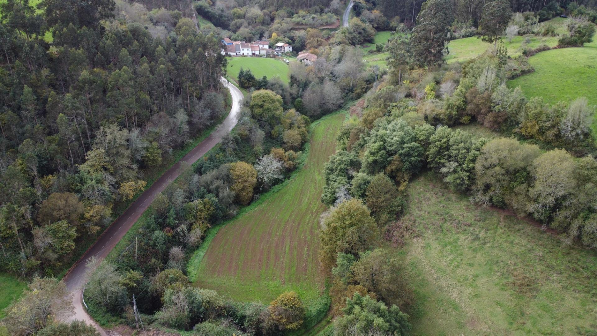 Casas o chalets-Venta-Pernus-1993978-Foto-36