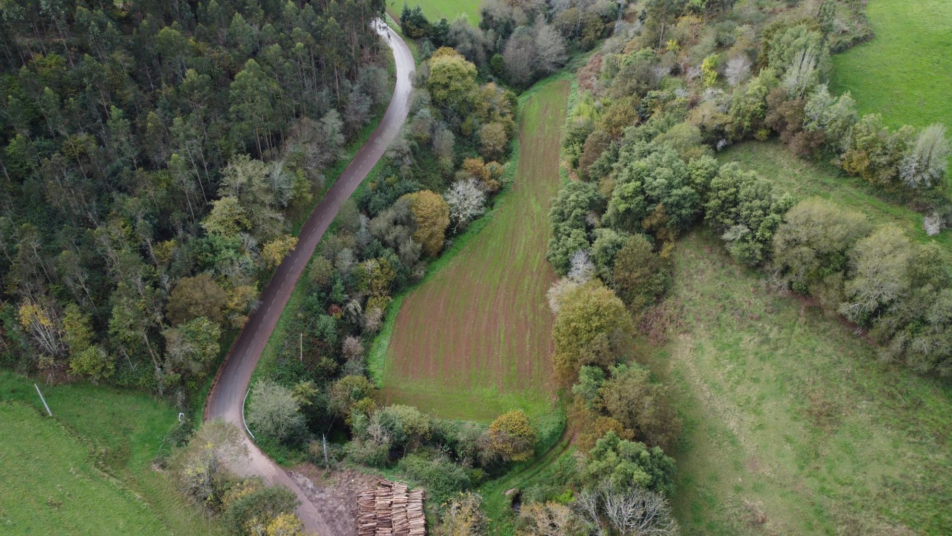 Casas o chalets-Venta-Pernus-1993978-Foto-35