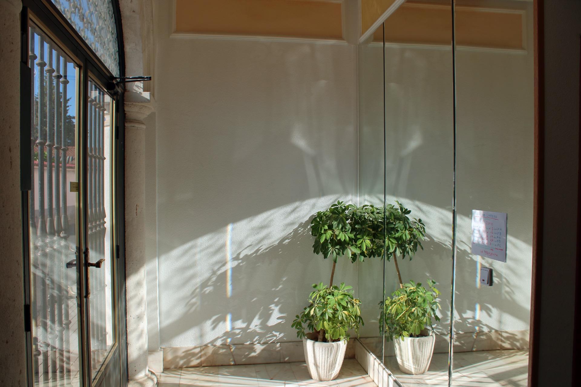 Pisos-Venta-Laguna de Duero-1993987-Foto-7