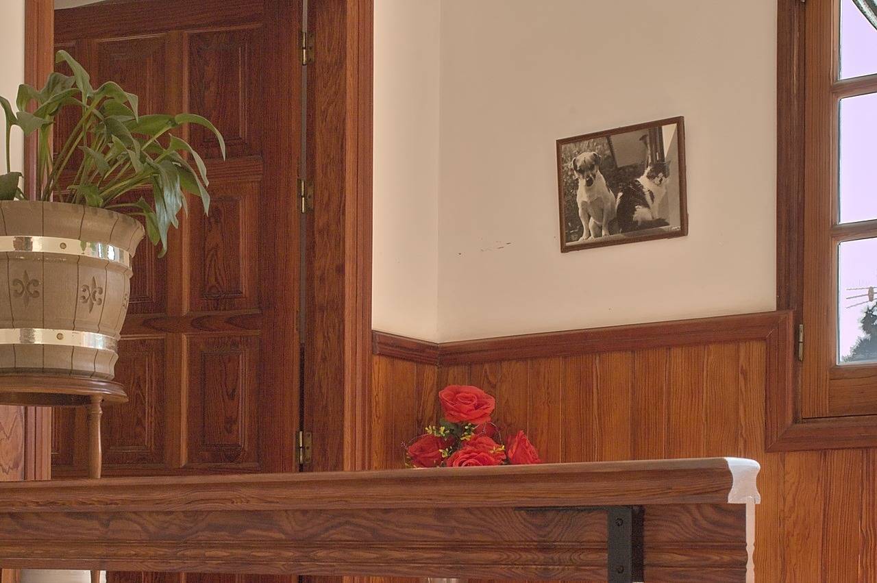 Casas o chalets-Venta-Teror-1993993-Foto-12