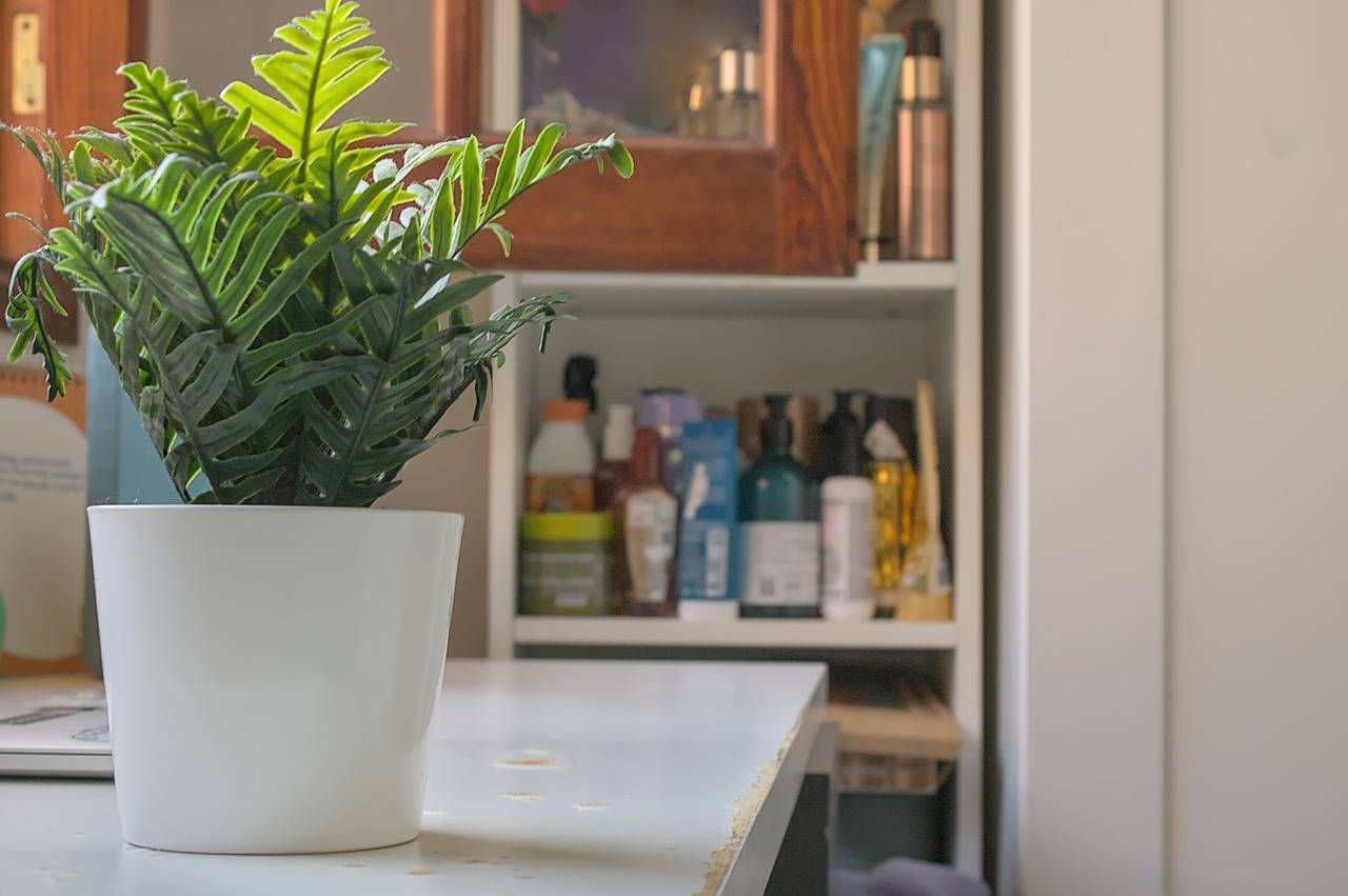 Casas o chalets-Venta-Teror-1993993-Foto-39