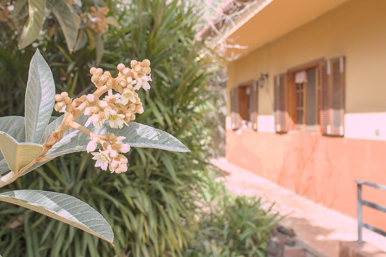 Casas o chalets-Venta-Teror-1993993-Foto-71