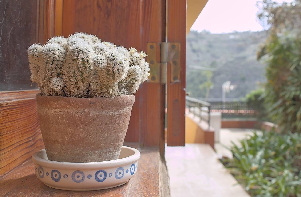 Casas o chalets-Venta-Teror-1993993-Foto-75