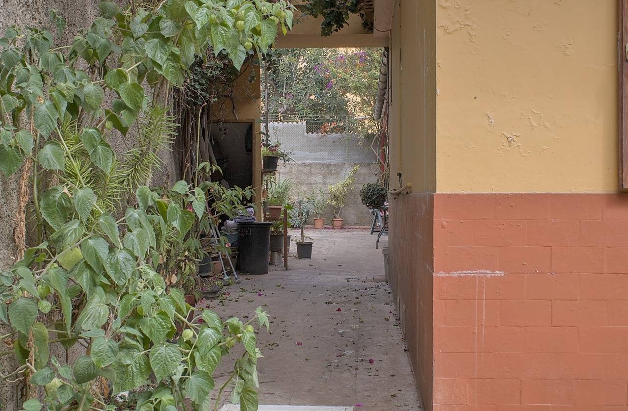 Casas o chalets-Venta-Teror-1993993-Foto-78