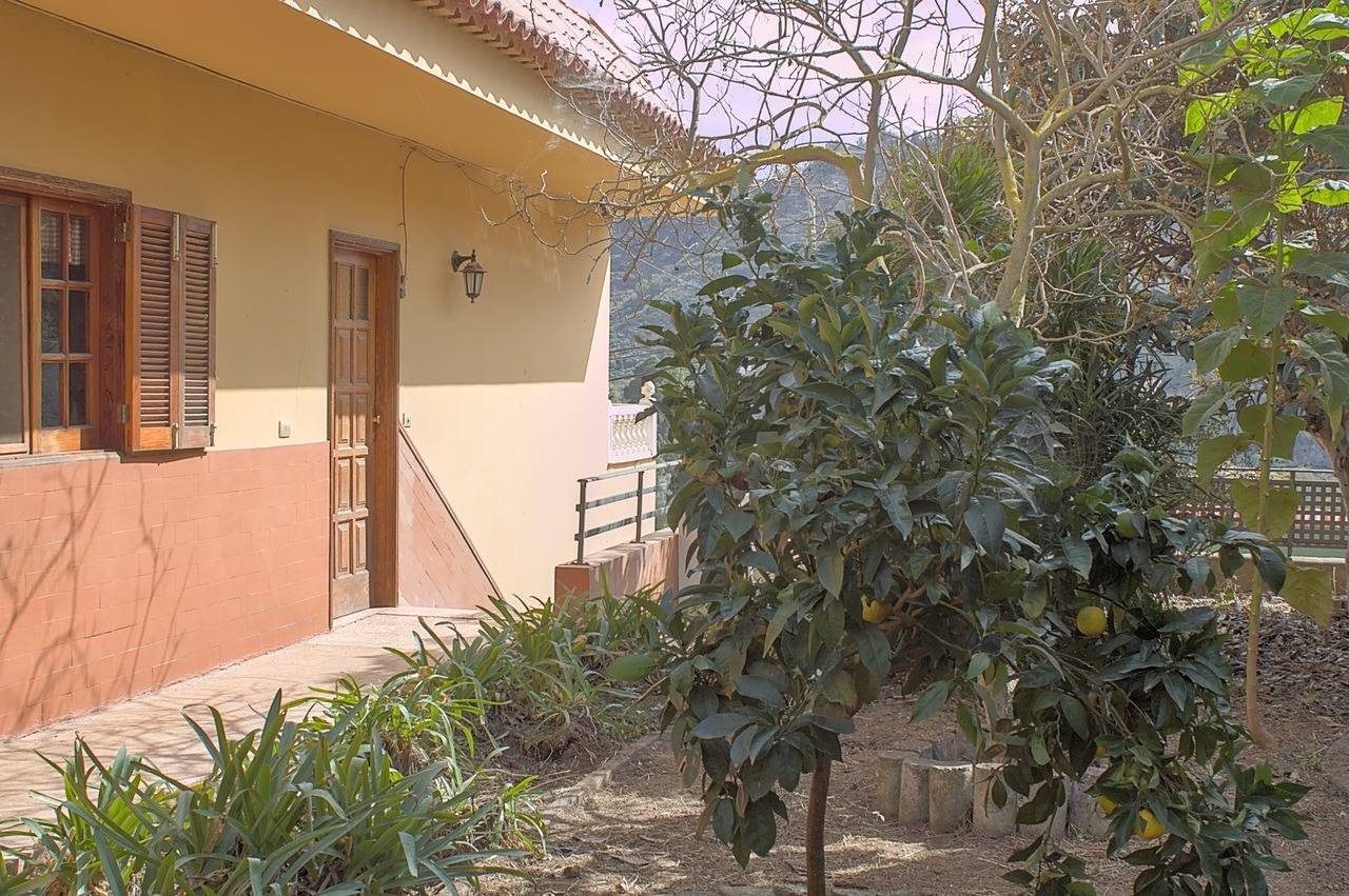 Casas o chalets-Venta-Teror-1993993-Foto-77