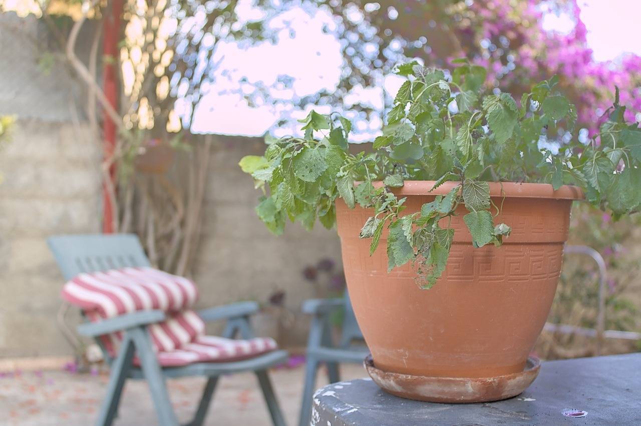 Casas o chalets-Venta-Teror-1993993-Foto-82