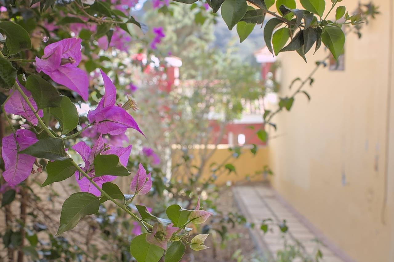 Casas o chalets-Venta-Teror-1993993-Foto-86