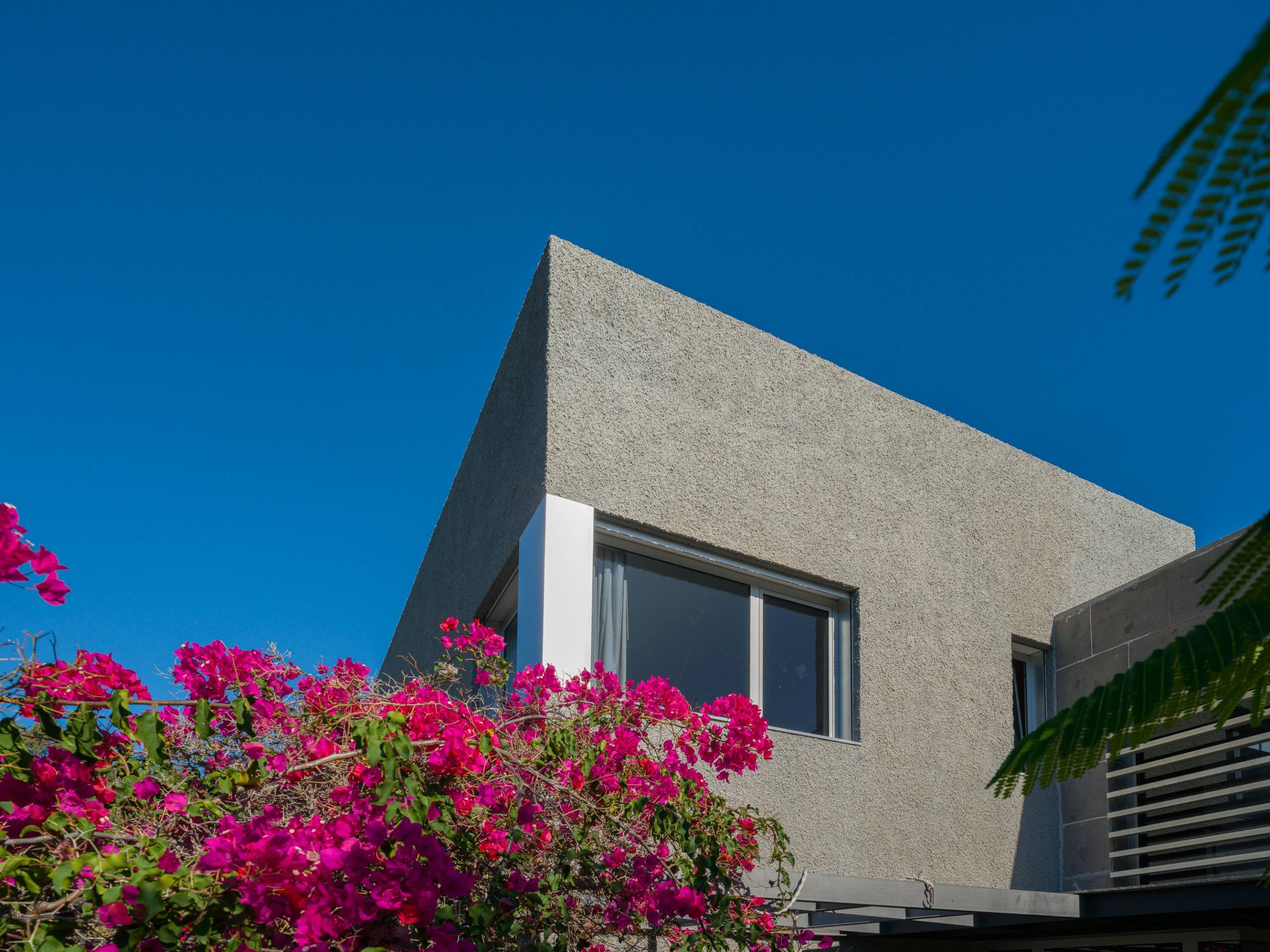 Casas o chalets-Venta-Las Palmas de Gran Canaria-1994010-Foto-10