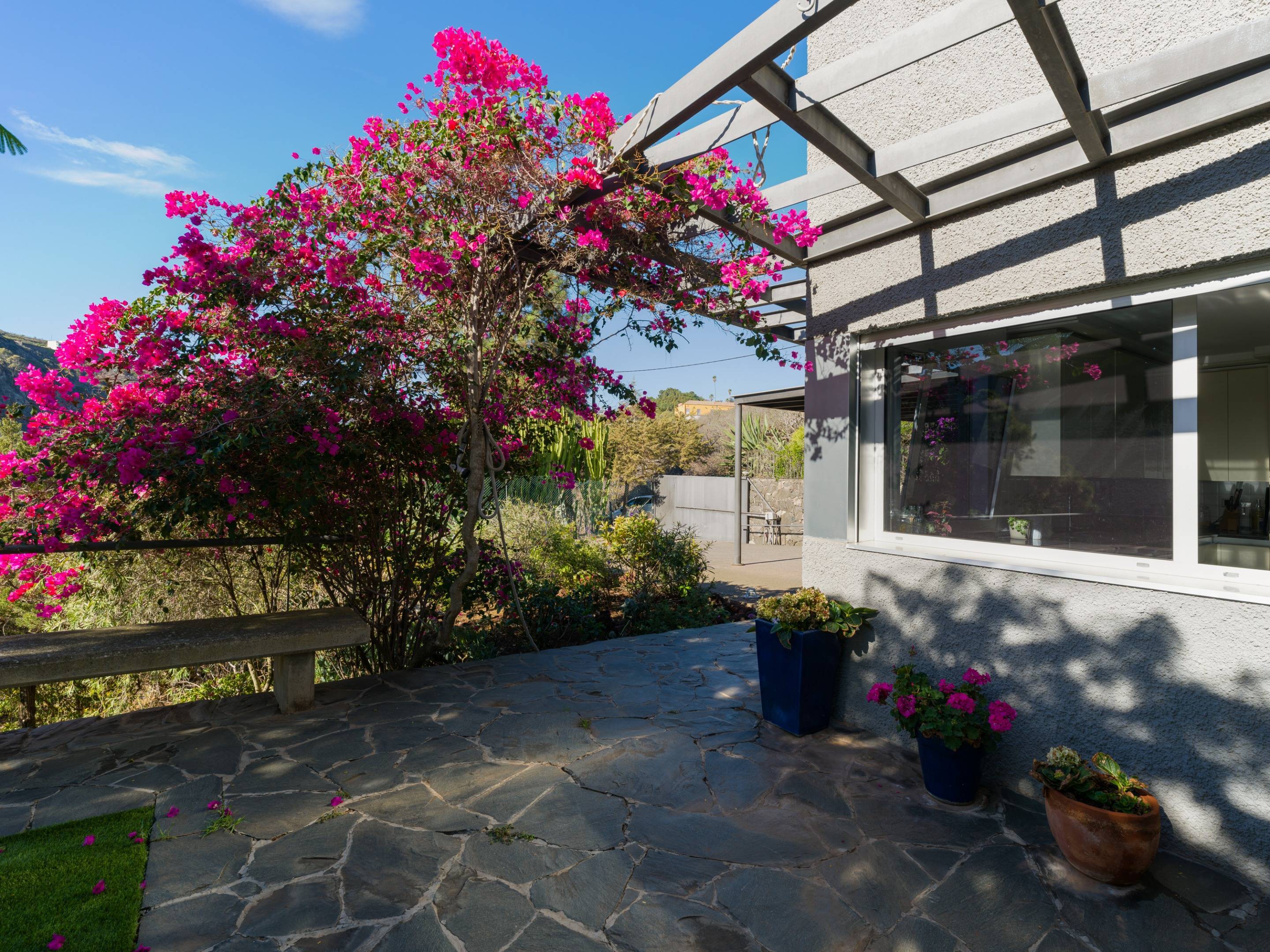 Casas o chalets-Venta-Las Palmas de Gran Canaria-1994010-Foto-16