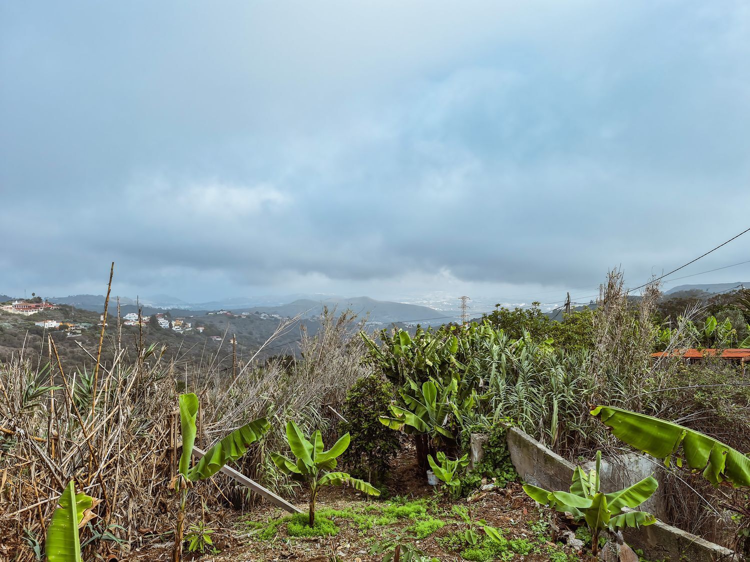 Casas o chalets-Venta-Las Palmas de Gran Canaria-1994022-Foto-77