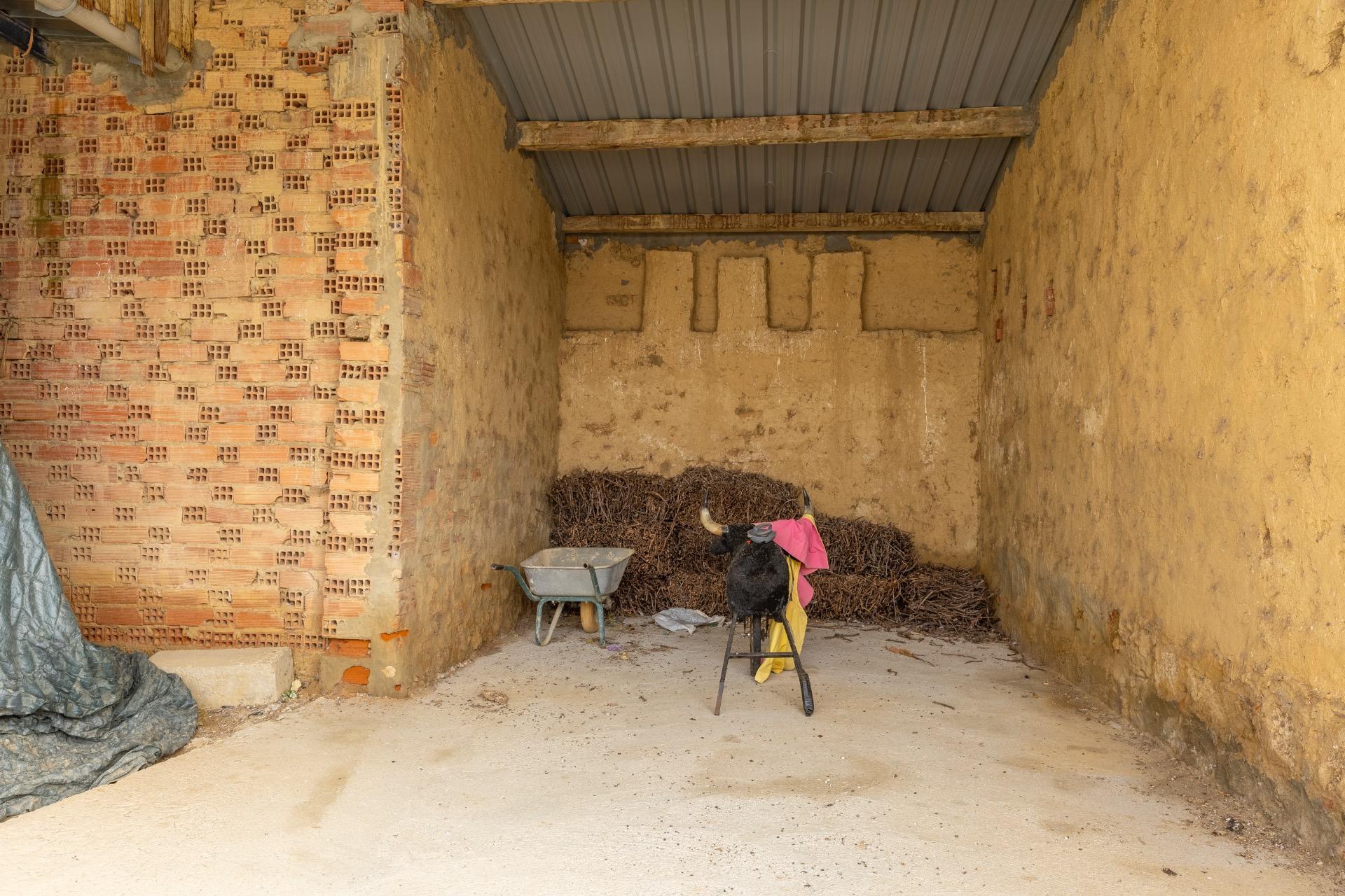 Casas o chalets-Venta-Villamayor de Campos-1994025-Foto-51