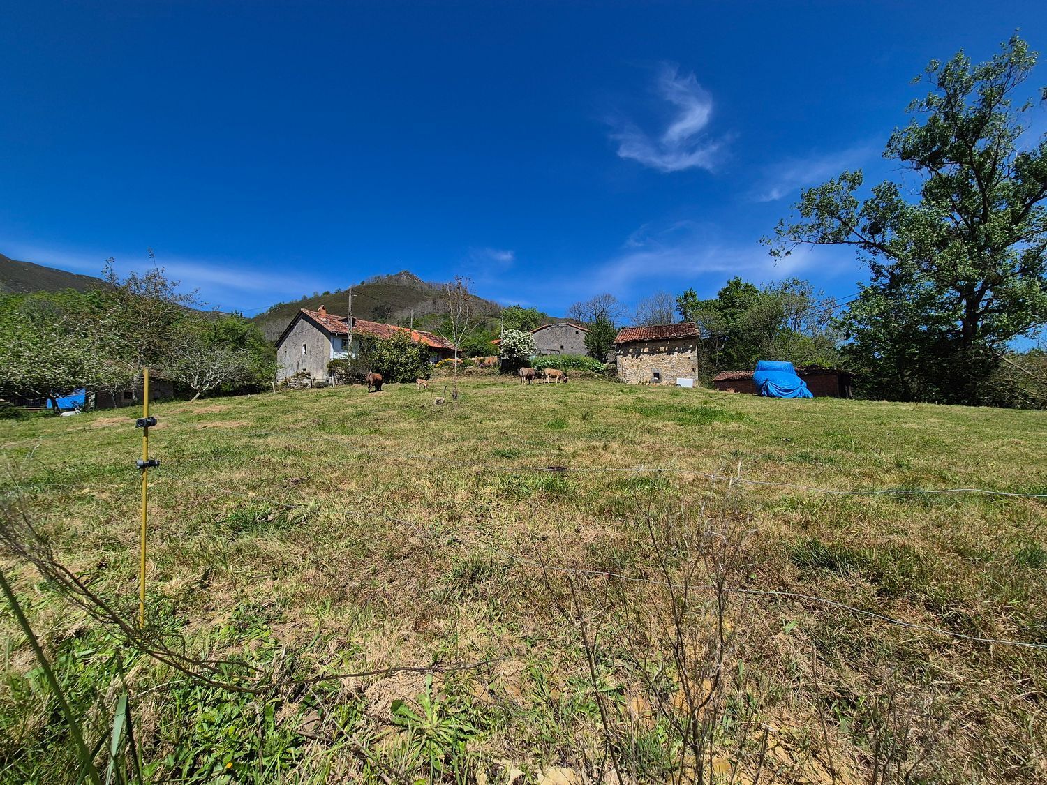 Fincas y solares-Venta-Cangas de Onís-1745085