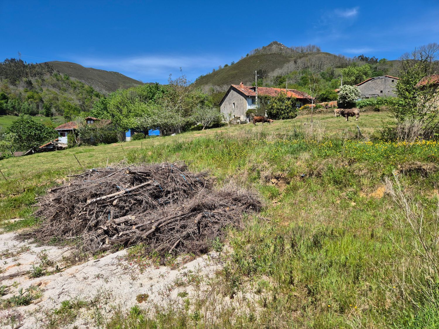 Fincas y solares-Venta-Cangas de OnÃ­s-1745085-Foto-4