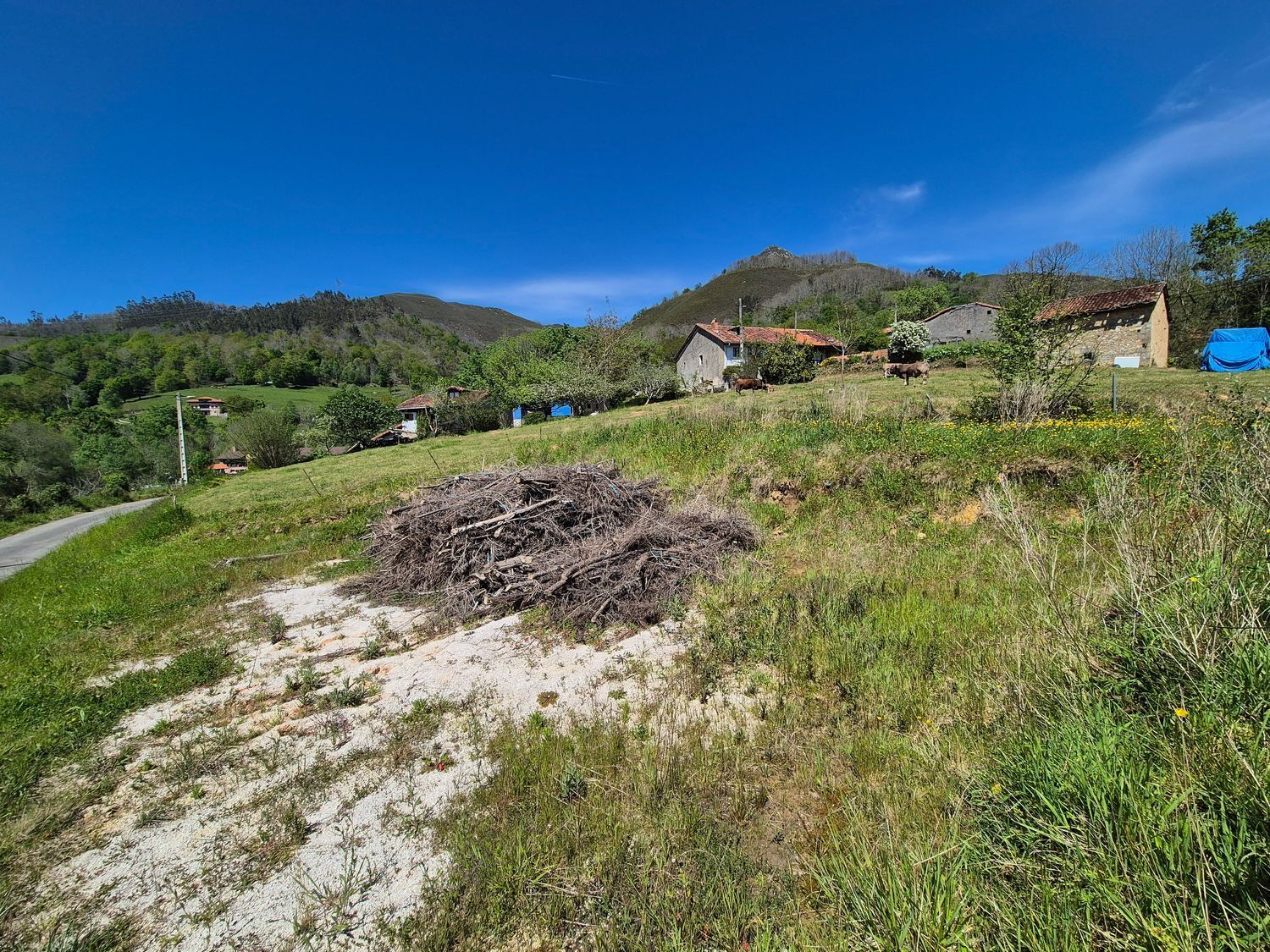 Fincas y solares-Venta-Cangas de OnÃ­s-1745085-Foto-5