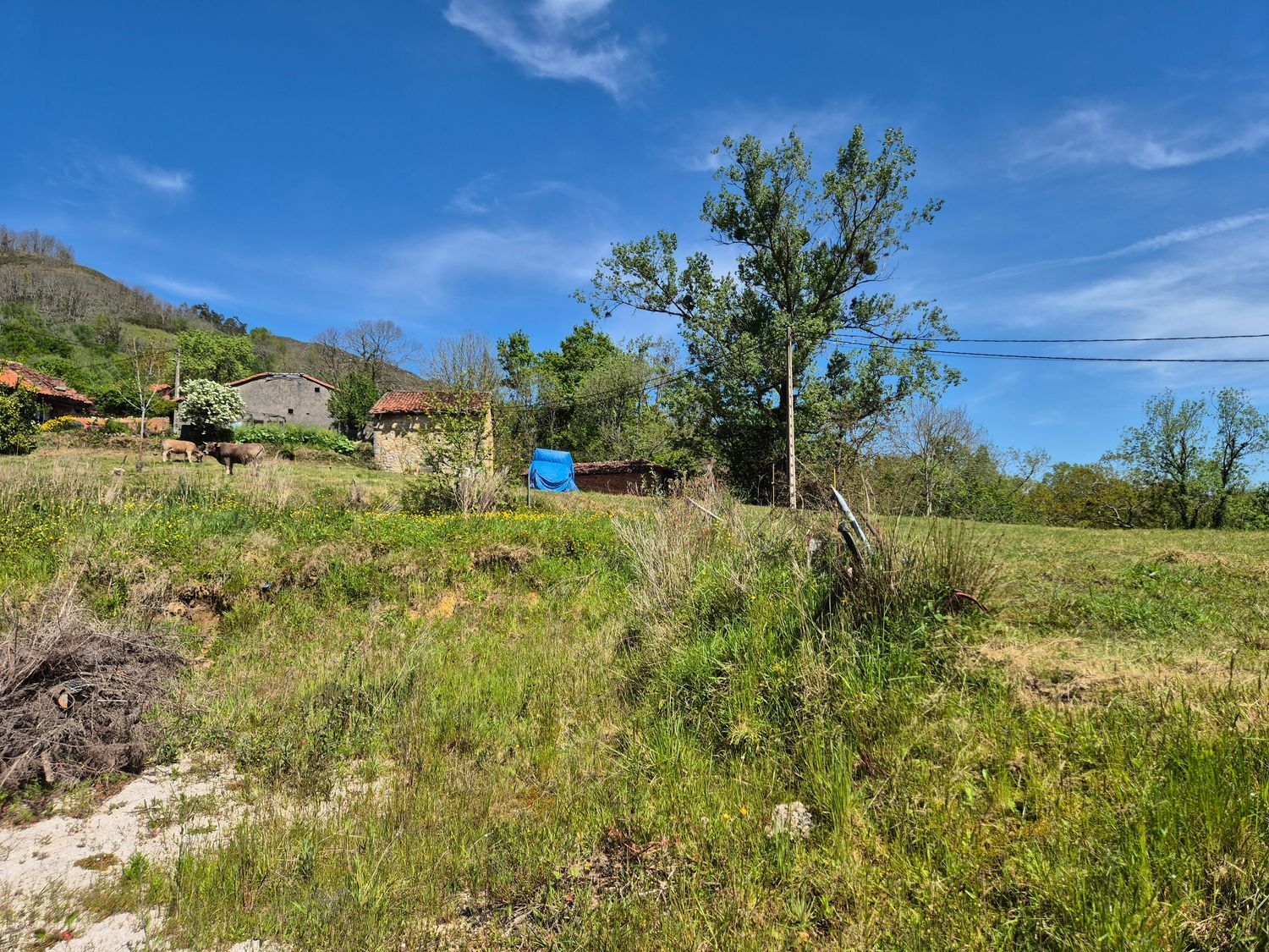 Fincas y solares-Venta-Cangas de OnÃ­s-1745085-Foto-3