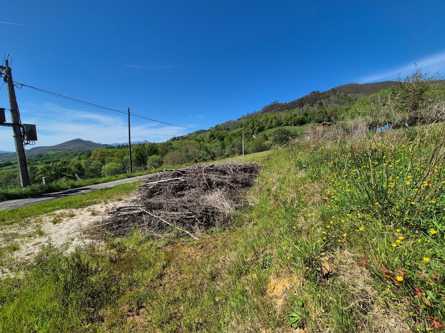 Fincas y solares-Venta-Cangas de OnÃ­s-1745085-Foto-7