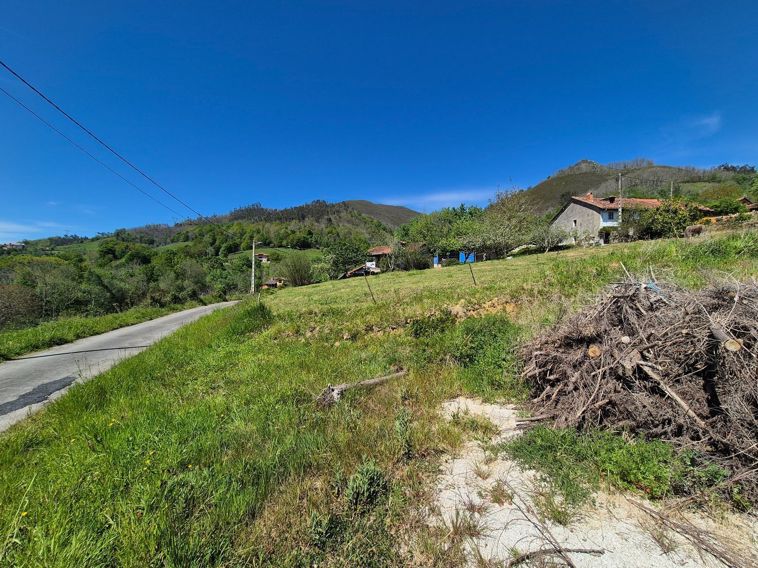 Fincas y solares-Venta-Cangas de OnÃ­s-1745085-Foto-15