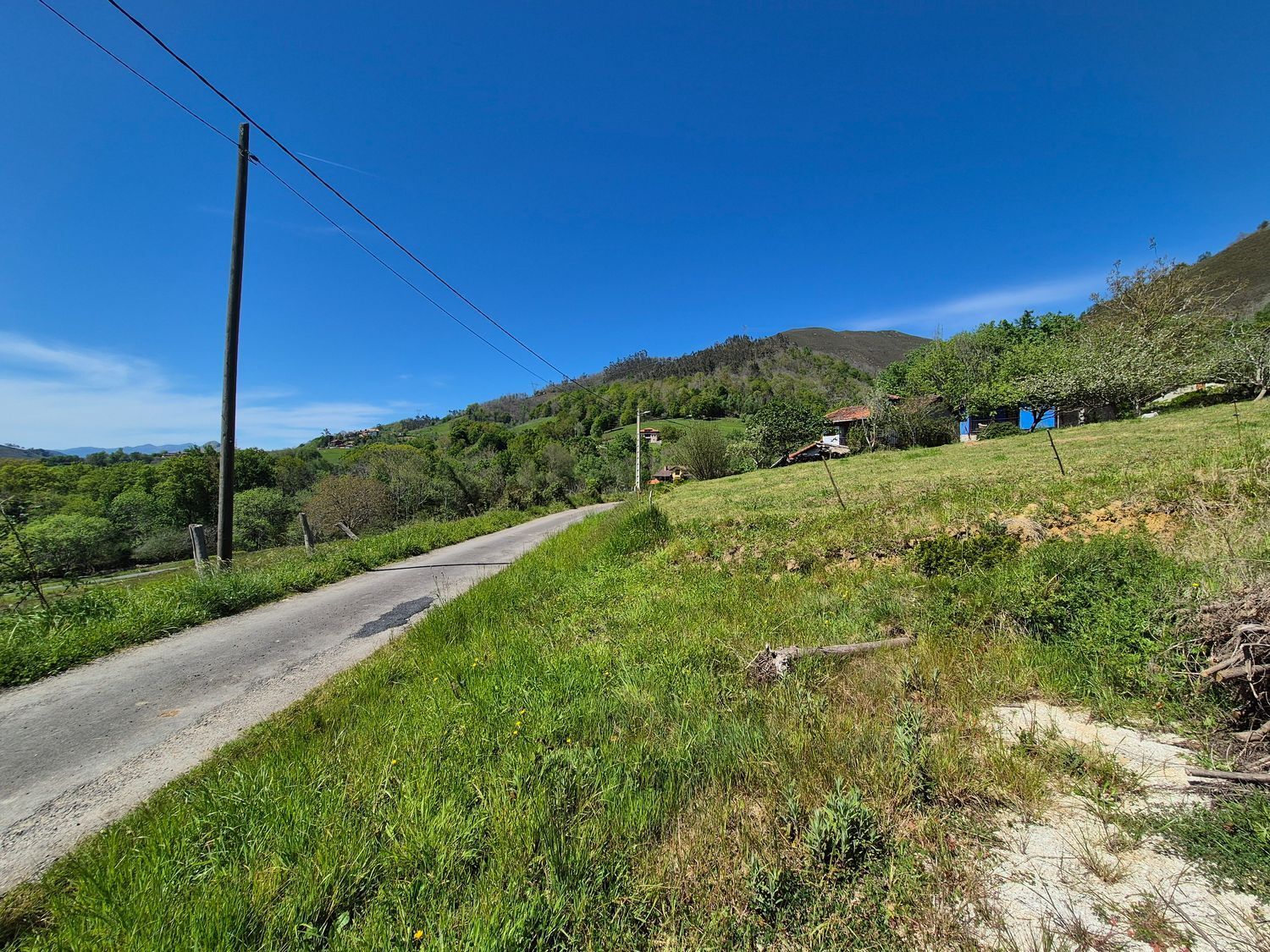 Fincas y solares-Venta-Cangas de OnÃ­s-1745085-Foto-14