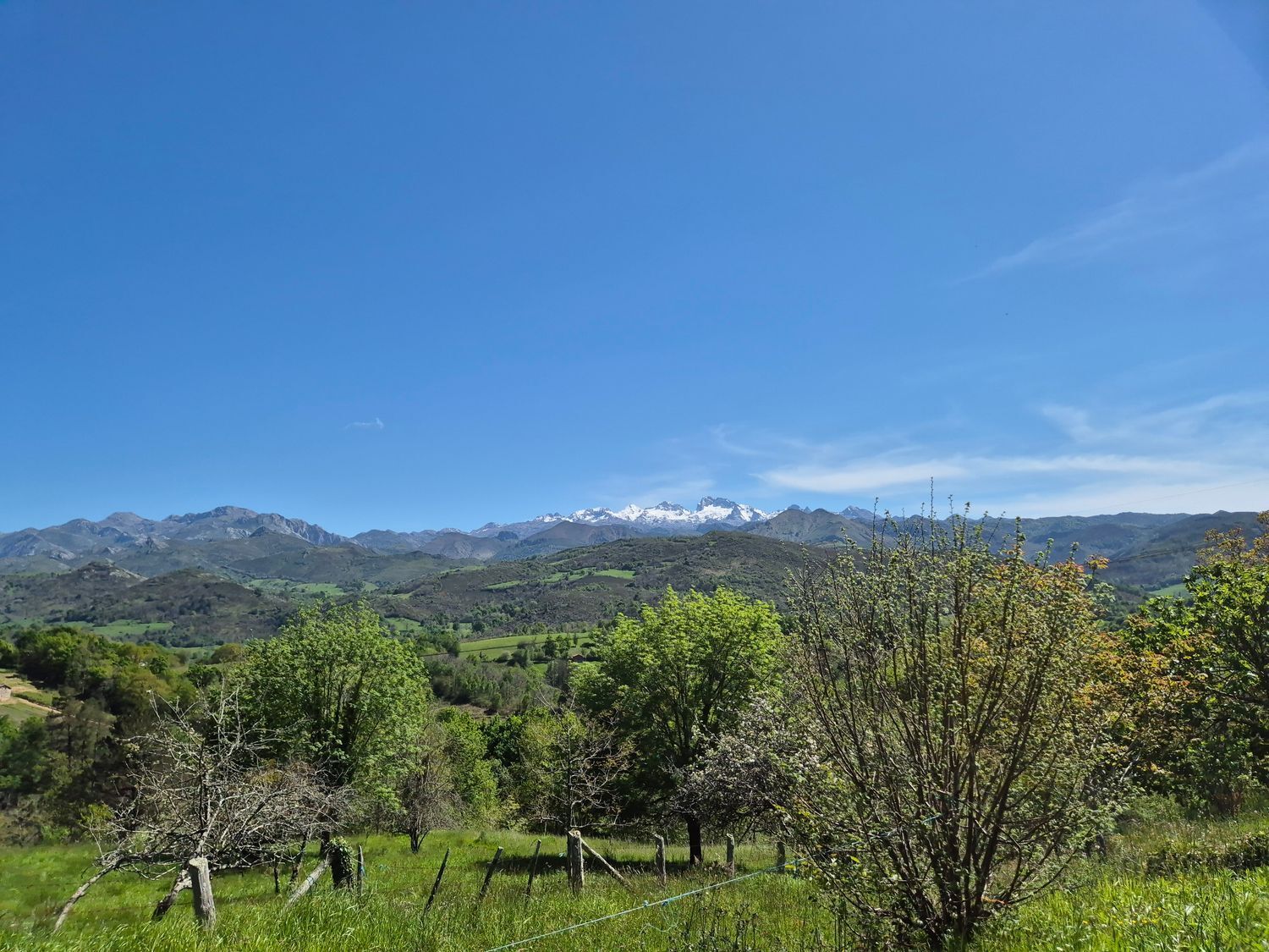 Fincas y solares-Venta-Cangas de OnÃ­s-1745085-Foto-16