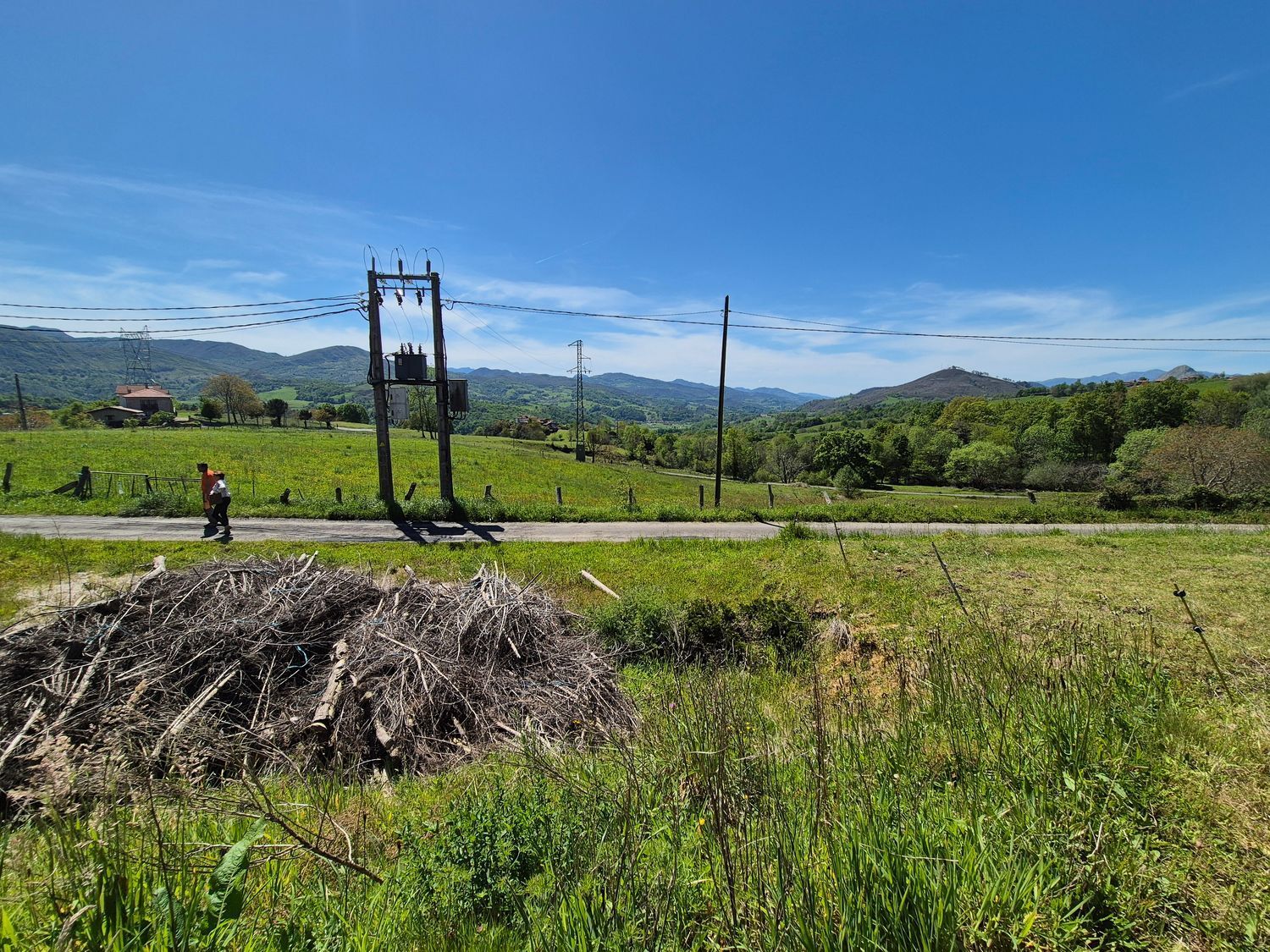 Fincas y solares-Venta-Cangas de OnÃ­s-1745085-Foto-12