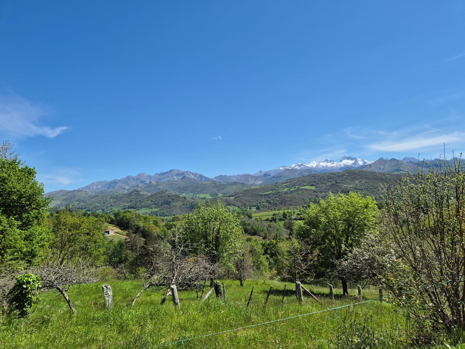 Fincas y solares-Venta-Cangas de OnÃ­s-1745085-Foto-17