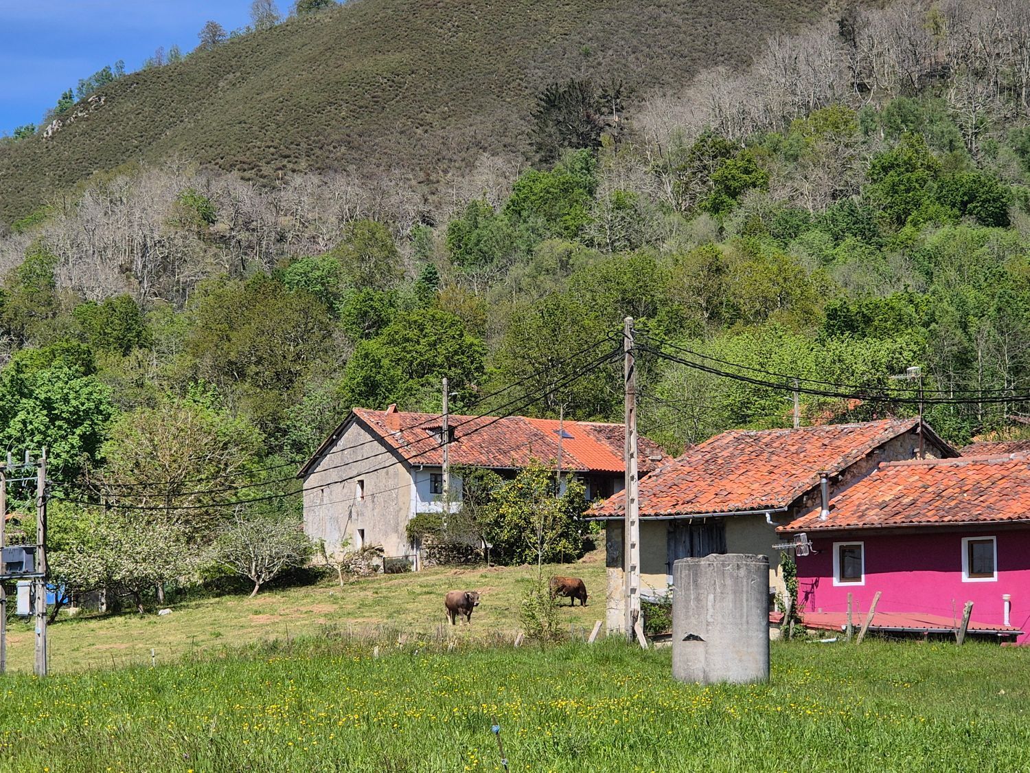 Fincas y solares-Venta-Cangas de OnÃ­s-1745085-Foto-19