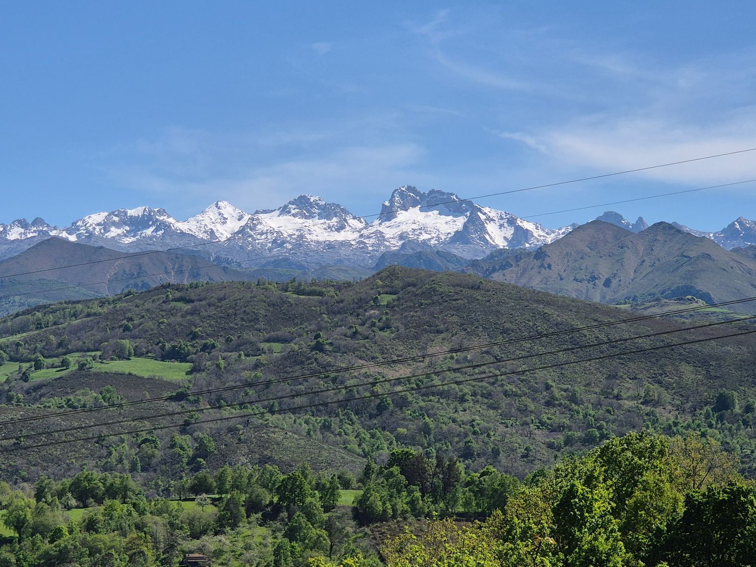 Fincas y solares-Venta-Cangas de OnÃ­s-1745085-Foto-20