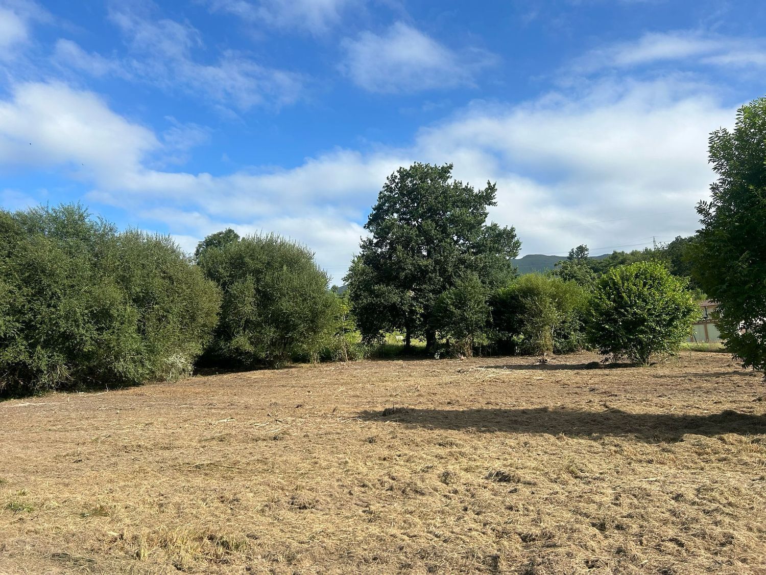 Fincas y solares-Venta-PiloÃ±a-1681023-Foto-2