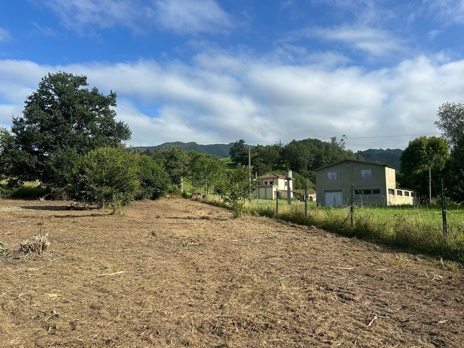 Fincas y solares-Venta-PiloÃ±a-1681023-Foto-7