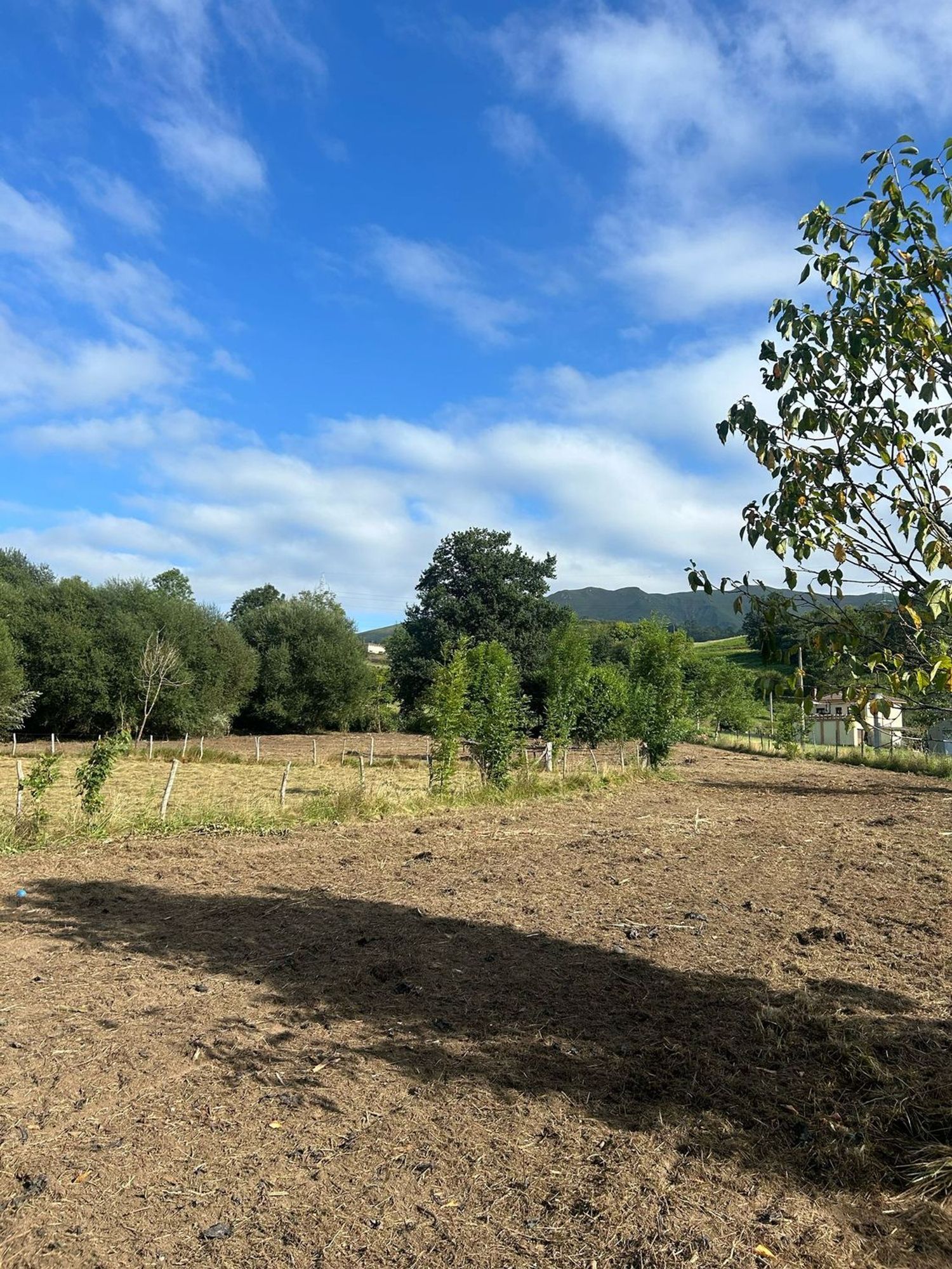 Fincas y solares-Venta-PiloÃ±a-1681023-Foto-4