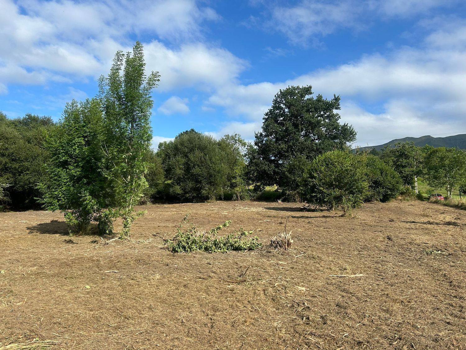 Fincas y solares-Venta-PiloÃ±a-1681023-Foto-8