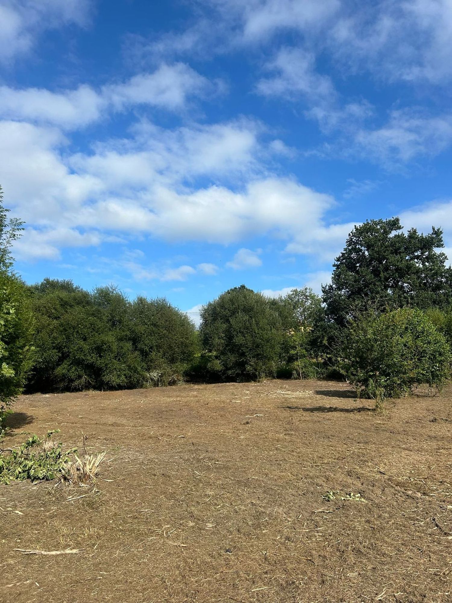 Fincas y solares-Venta-PiloÃ±a-1681023-Foto-10