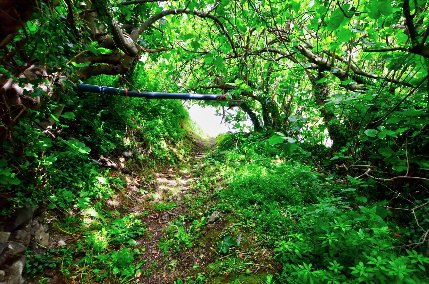 Casas o chalets-Venta-Mieres-1723333-Foto-7