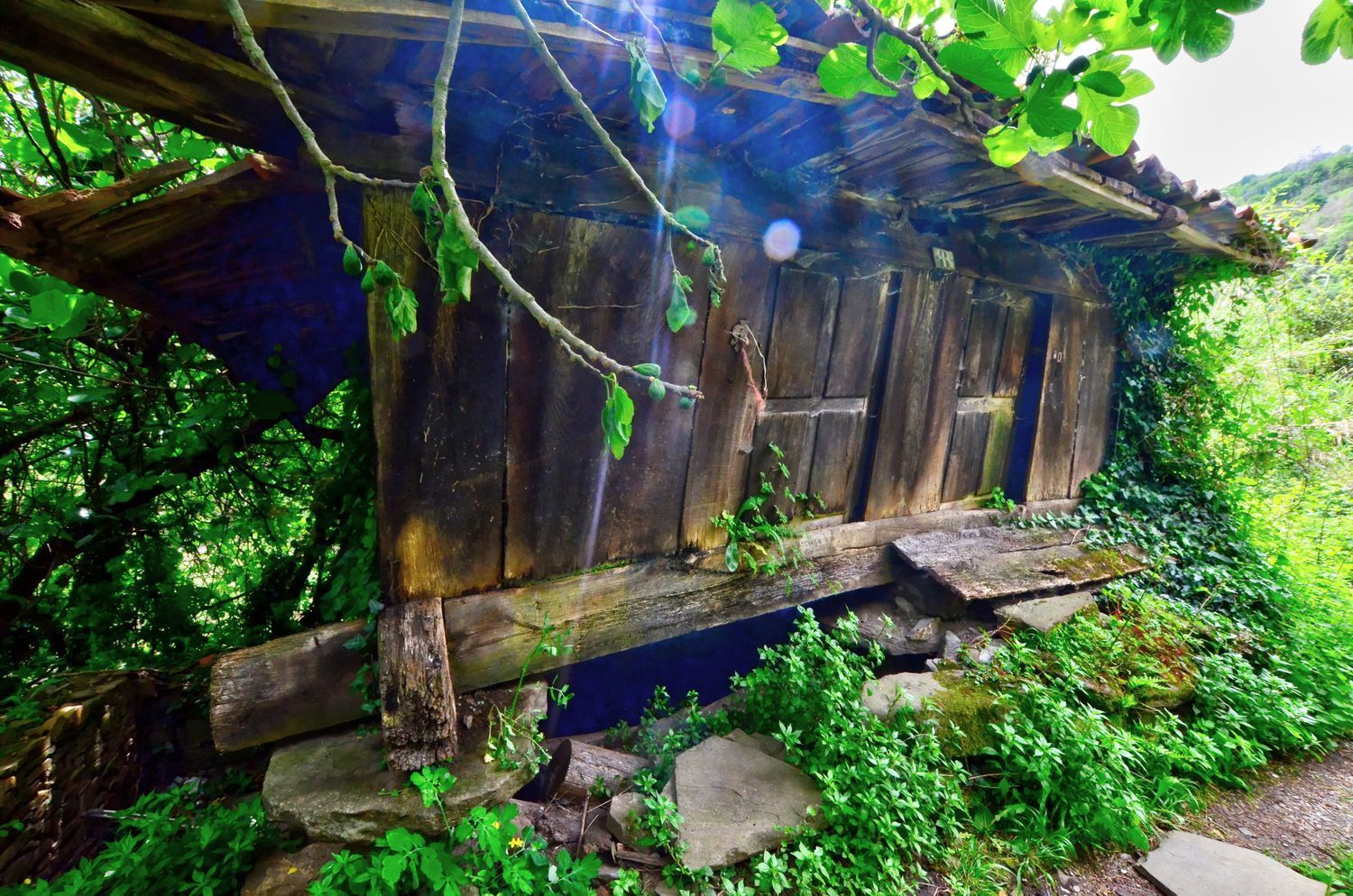 Casas o chalets-Venta-Mieres-1723333-Foto-3