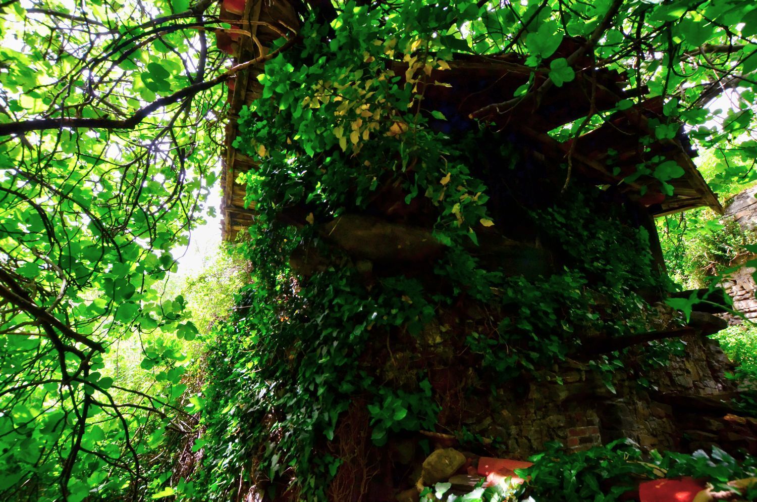 Casas o chalets-Venta-Mieres-1723333-Foto-11